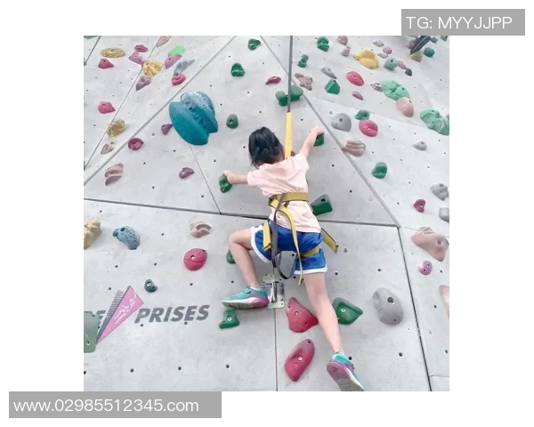 上海攀岩队技术对比深度解析与训练方法探讨 上海攀岩队技术对比深度解析与训练方法探讨