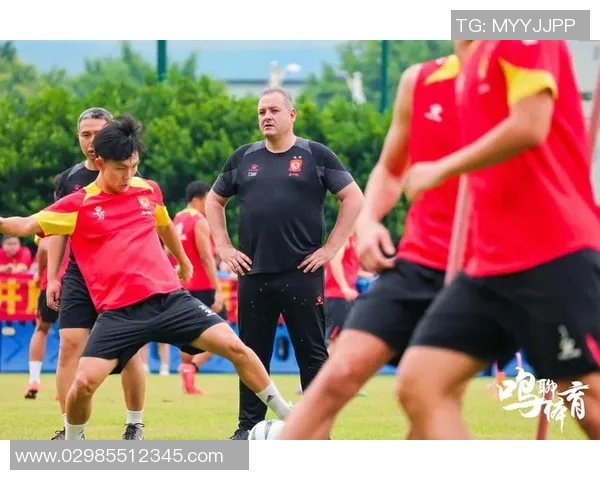 广州排球队个人能力深度对比分析与战术影响探讨 广州排球队个人能力深度对比分析与战术影响探讨