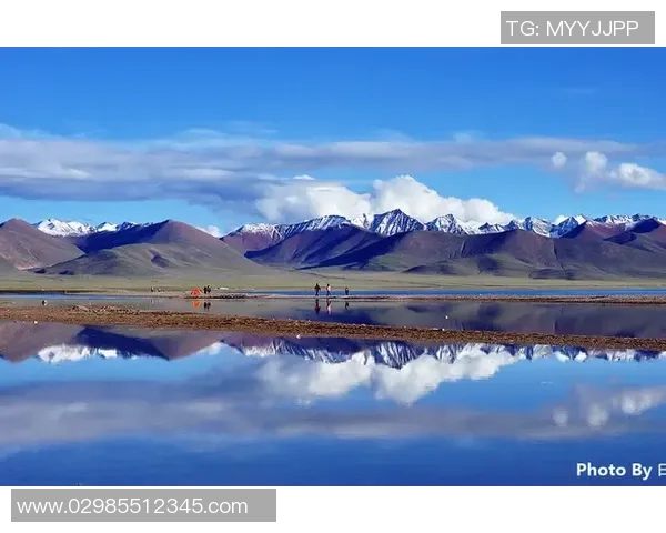 新泻天鹅与贝拉萨激战在即谁能在这场较量中笑到最后