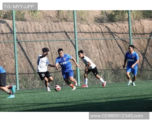 辽宁与深圳的36轮较量展现足球魅力与团队精神的精彩瞬间