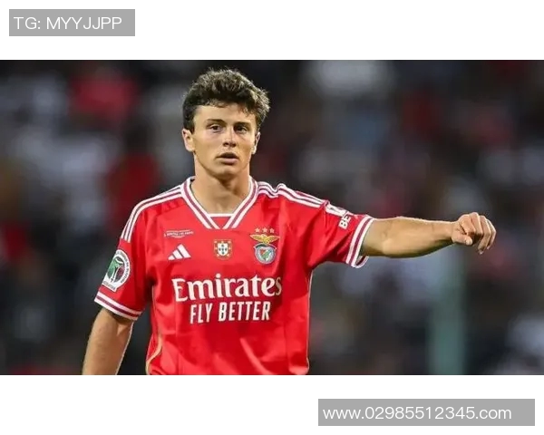 若昂内维斯的足球之路：从青训到职业生涯的辉煌历程