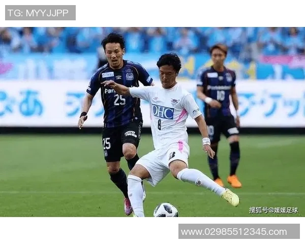 金泽对冈山绿雉精彩直播全程回顾与赛后分析