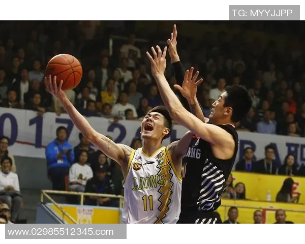 刘铮的奋斗历程与篮球梦想:从青涩少年到职业球员的成长之路