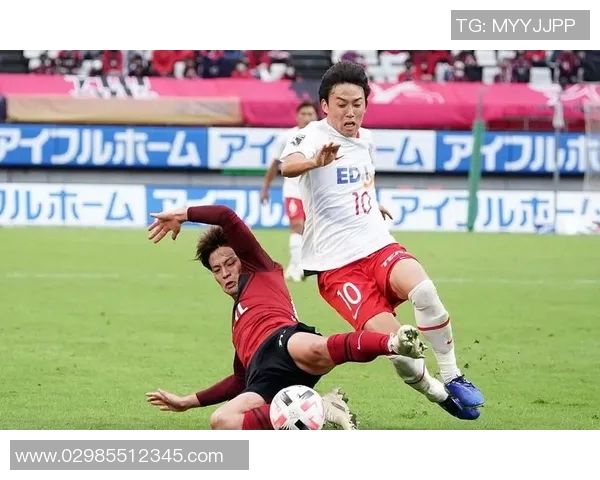 大板樱花与鹿岛鹿角实力对比谁能在赛场上占据优势 大板樱花与鹿岛鹿角实力对比谁能在赛场上占据优势