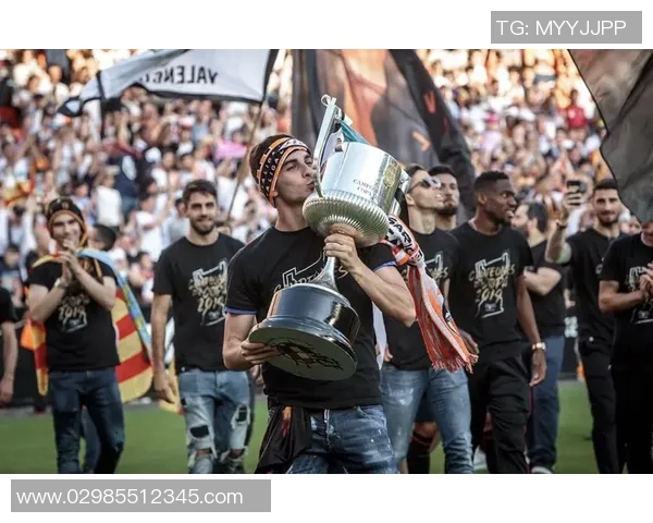 费兰托雷斯的崛起之路：从青训天才到世界级足球明星的奋斗历程