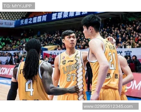 辽宁对广厦精彩比赛录像回放全程回顾与分析